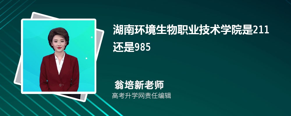 ϸ߿ʷ316ʲôѧ2025(+)