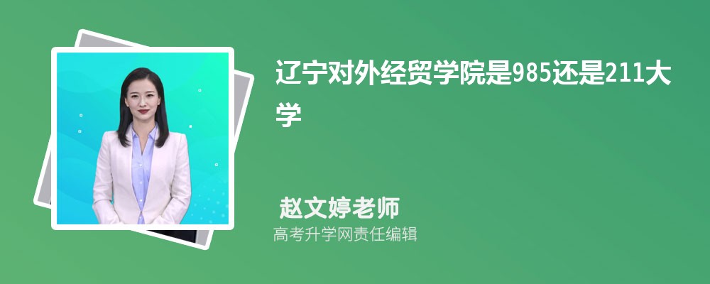 ߿204ʲôרѧУ2025()